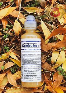 kombusept